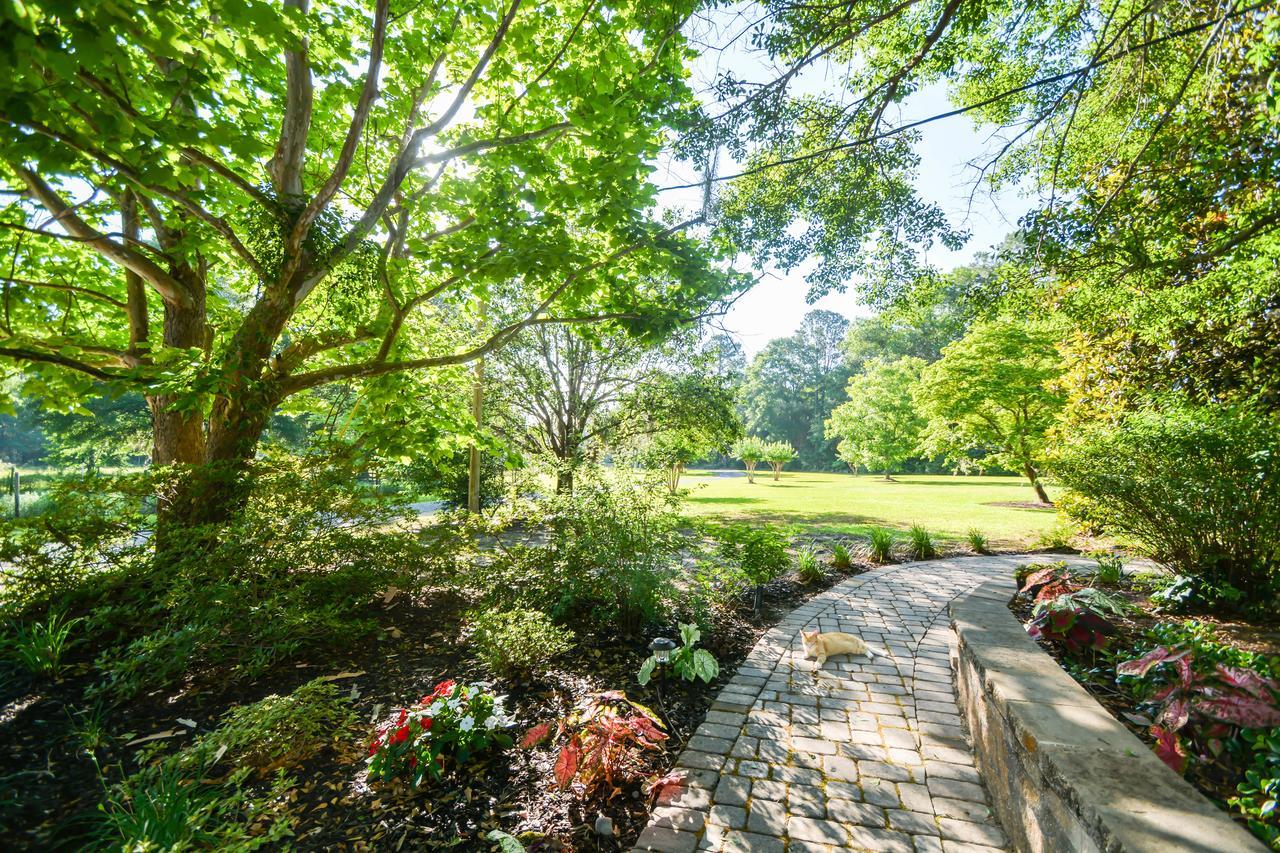 Dublin Farm Bed & Breakfast エクステリア 写真