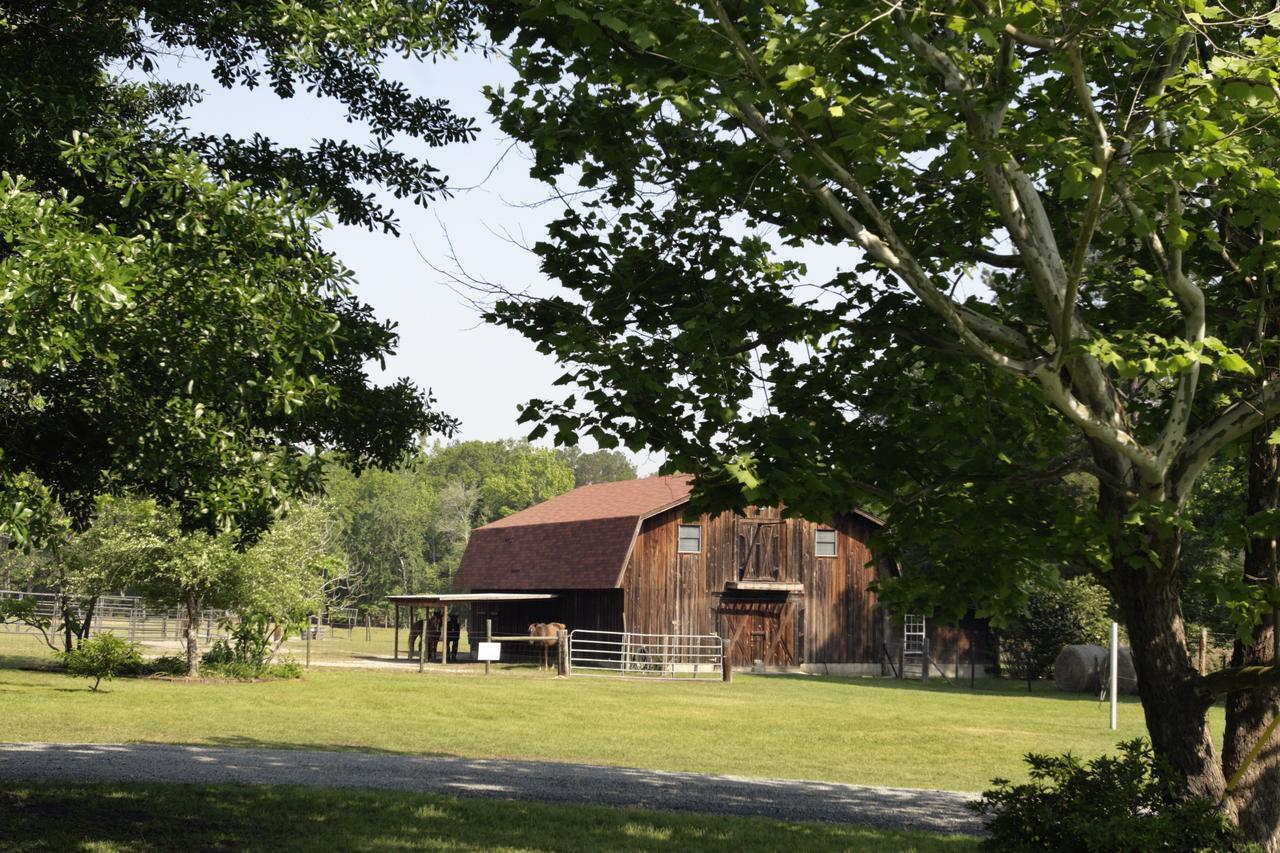 Dublin Farm Bed & Breakfast エクステリア 写真
