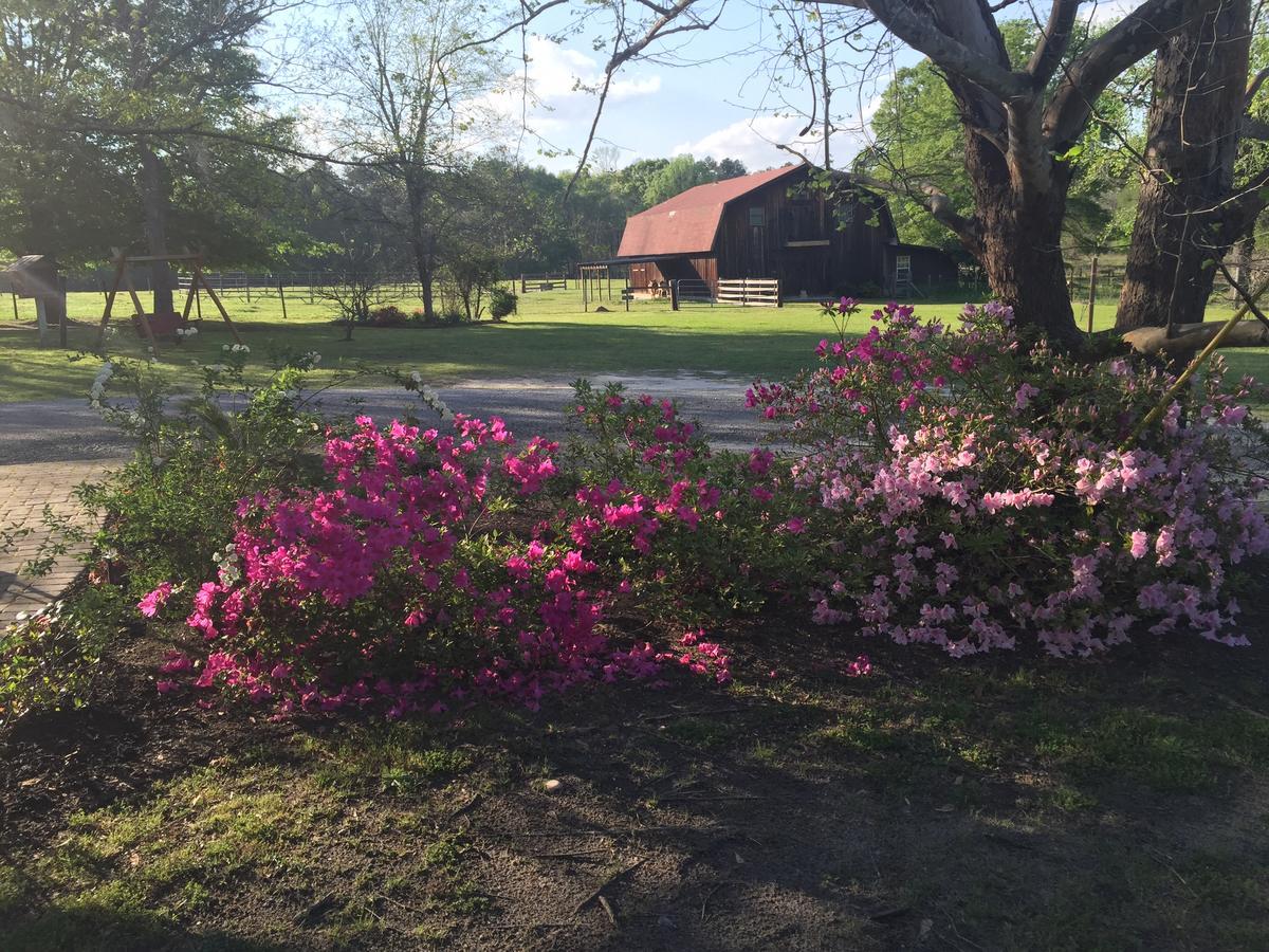 Dublin Farm Bed & Breakfast エクステリア 写真